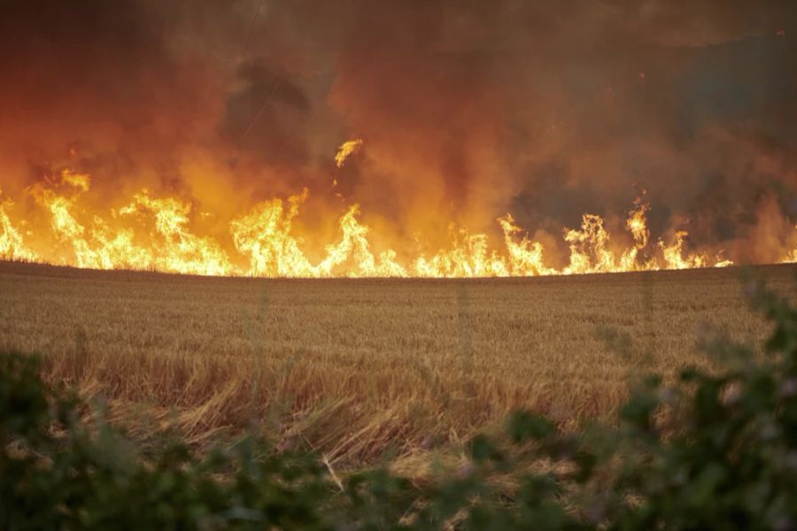 Brand in Arraiza im norden Spaniens, aufgenommen am 18. Juni.