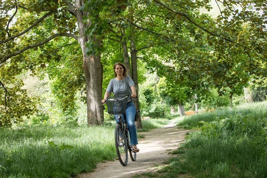 Wald Frau Velo Sommer