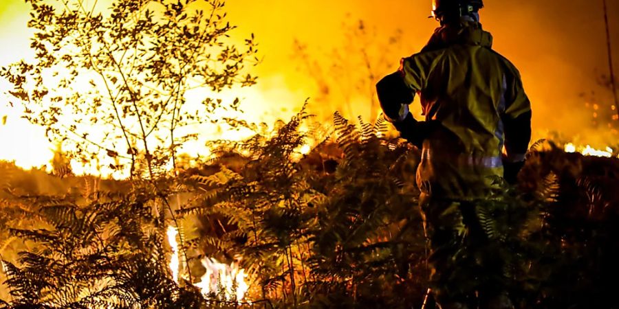 Im westfranzösischen Département Gironde wüten zwei Waldbrände, die insgesamt bereits 17'000 Hektar Wald zerstört haben. Bei einem der Brände besteht der Verdacht auf Brandstiftung. (Archivbild)