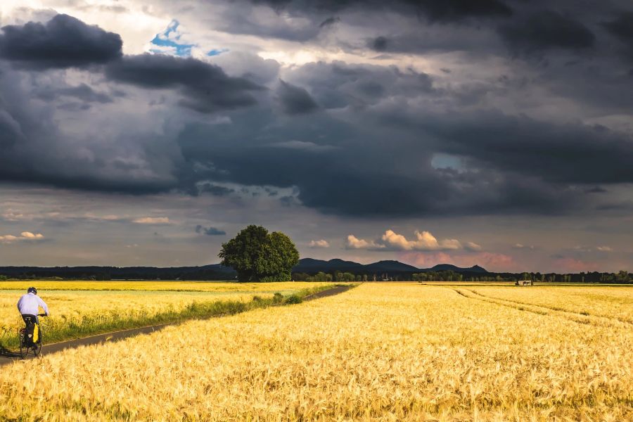 Feld Getreide Velofahrer Himmel Gewitter
