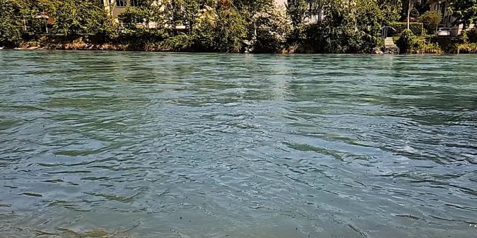 Kein Witz - Insekten-Plage: Fliegen feiern an Aare und Limmat Hochzeit!