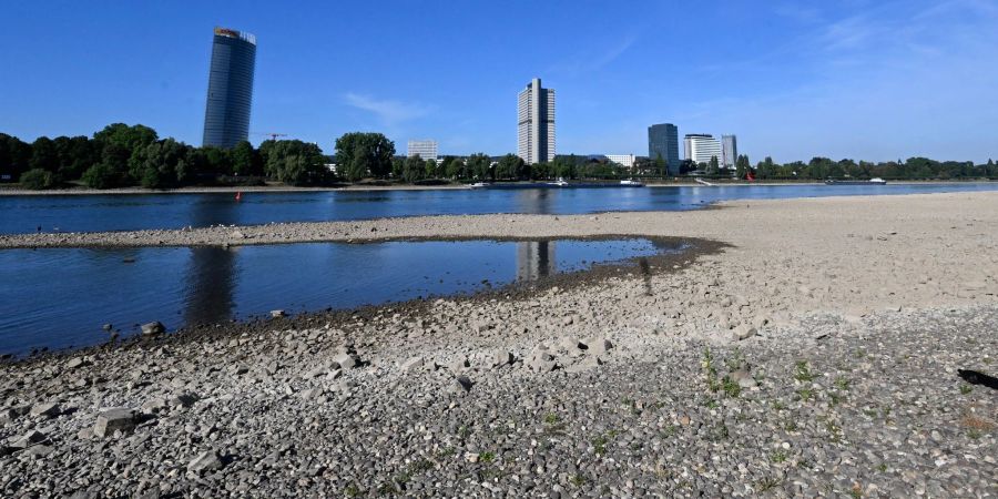 Der Rhein hat derzeit wenig Wasser - so wie hier in Bonn.