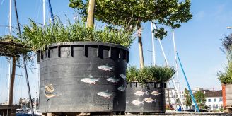 Gemeinde - Die Baumkübel in Romanshorn wurden mit Fischen verziert