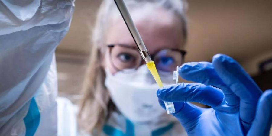 Eine Koordinierungshelferin bereitet die Auswertung eines Corona-Schnelltests vor. Foto: Frank Rumpenhorst/dpa/Symbolfoto