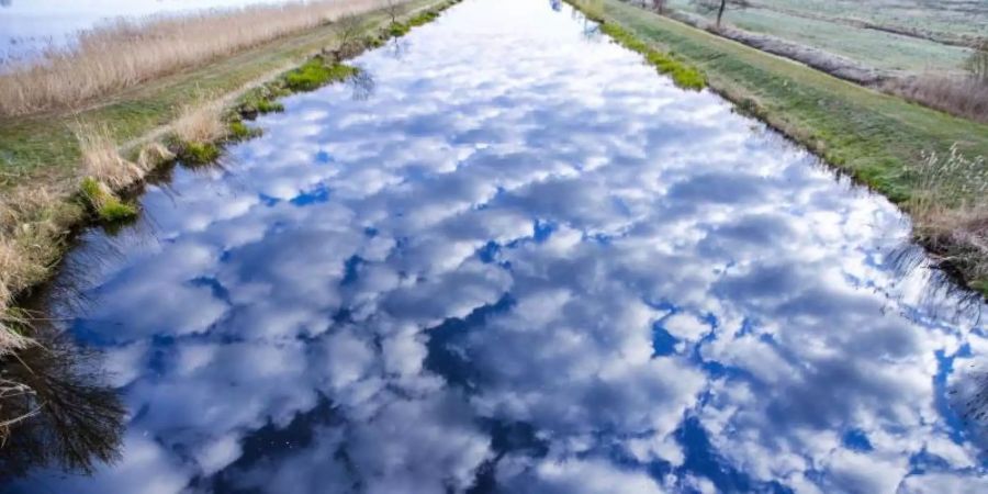 Wolken spiegeln sich im Wasser der Müritz-Elde-Wasserstrasse im Naturschutzgebiet Lewitz. Foto: Jens Büttner/dpa-Zentralbild/dpa