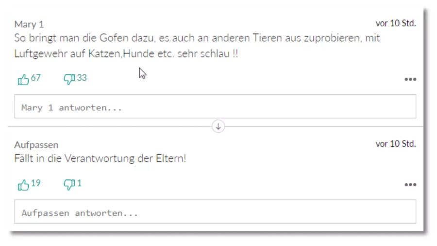 User «Aufpassen» appelliert nach dem Kommentar von «Mary 1» an die Verantwortung der Eltern.