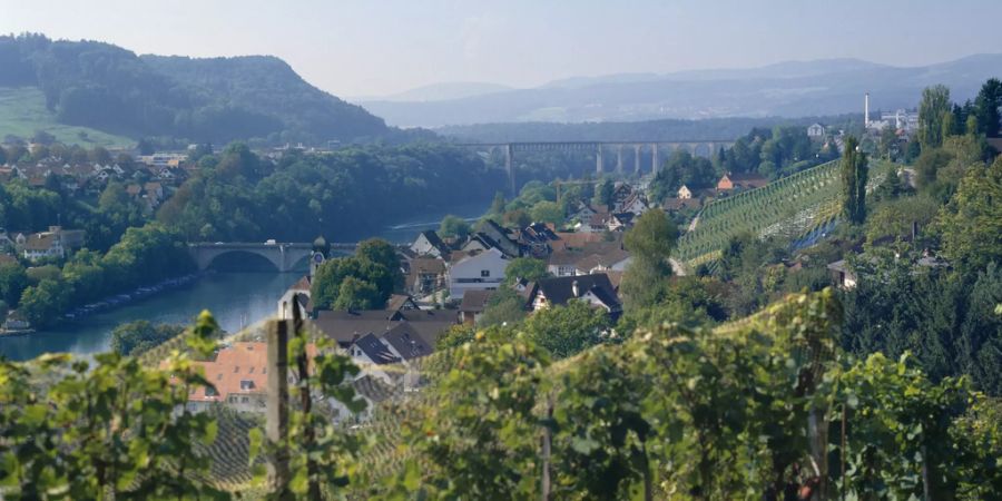 Blick auf Eglisau und den Rhein.