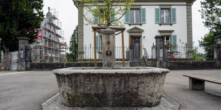 Der Törlibrunnen auf dem Törliplatz in Murten.