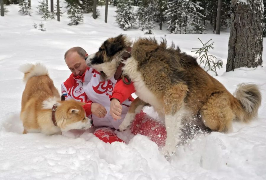 ... oder mit Hunden – Putin mag sie alle.