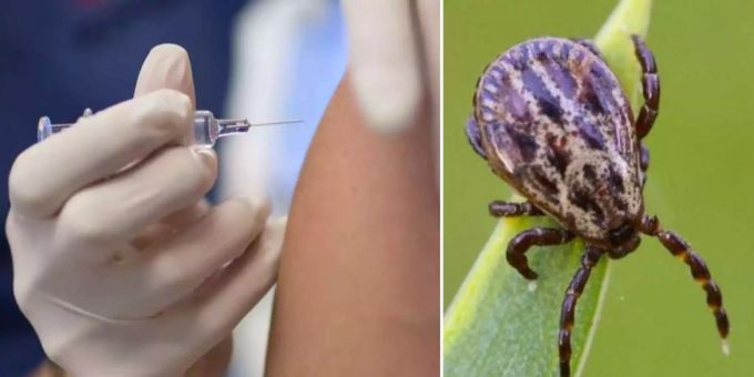 Wetter wieder wärmer - Ärzte: Zecken- auch trotz Corona-Impfung möglich