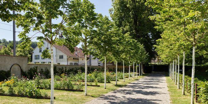 Der östliche Teil des Parks im Weiherschloss Bottmingen. Bottmingen