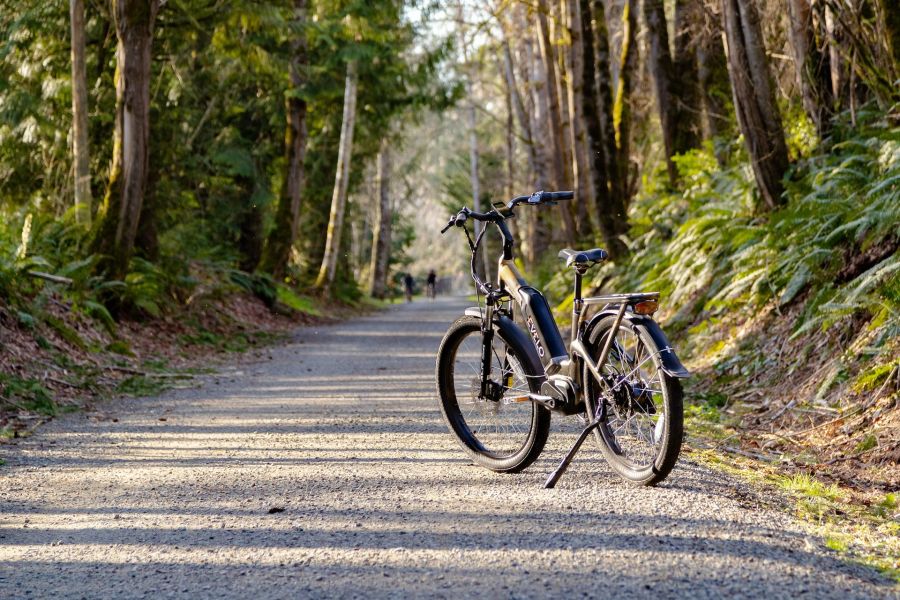 E-Bike, Fahrrad