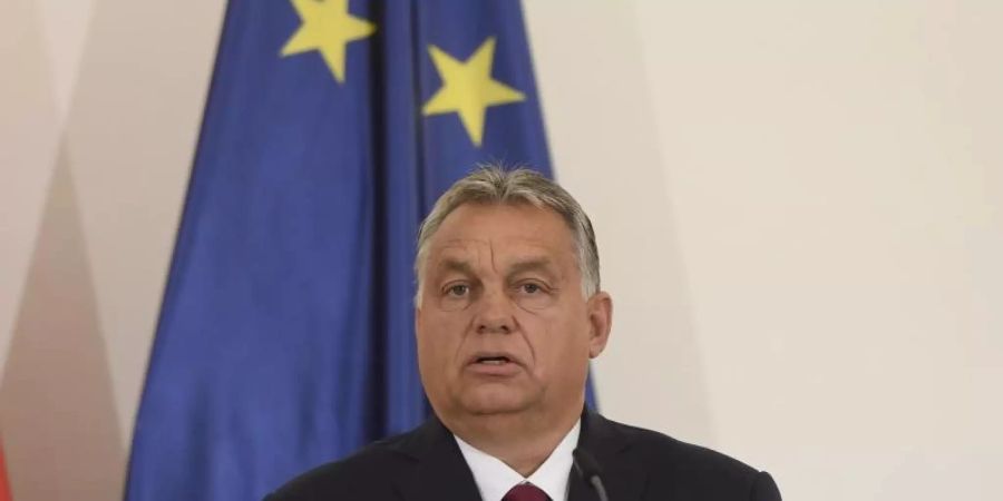 Viktor Orban Eu Flagge