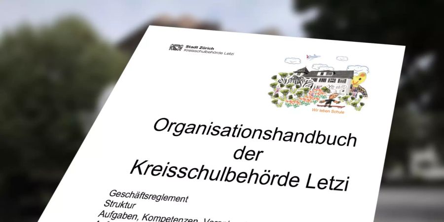 Orgnisationshandbuch KSB Letzi