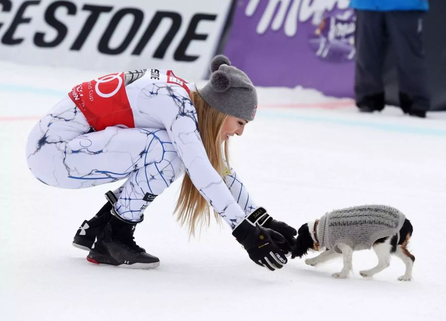 Ihre Tiere sind auf vielen Posts der Amerikanerin zu sehen.