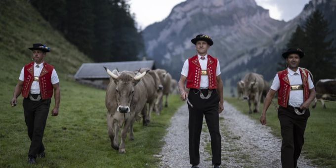 Appenzeller Bauer müssen den Alpabzug wegen des schlechten Wetters und dem des folgenden Futtermangels viel früher machen. (Symbolbild) Appenzell