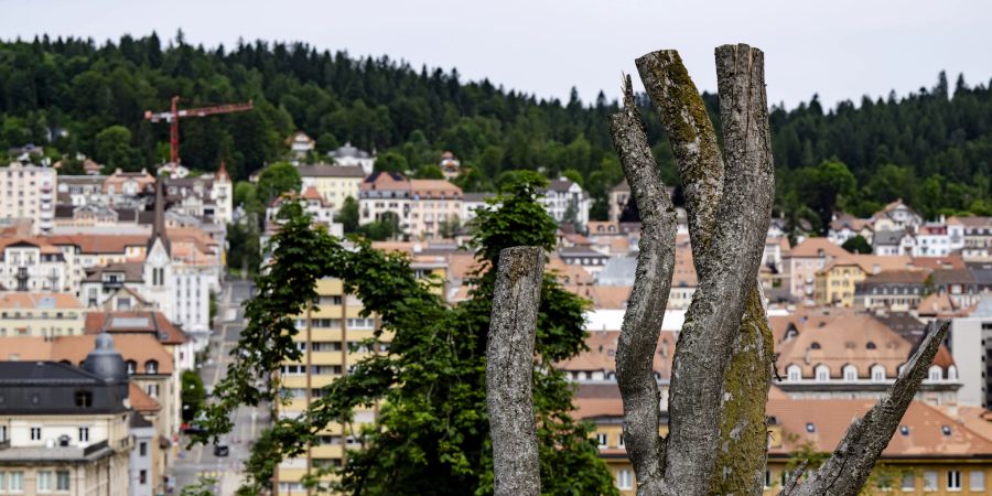 La Chaux-de-Fonds