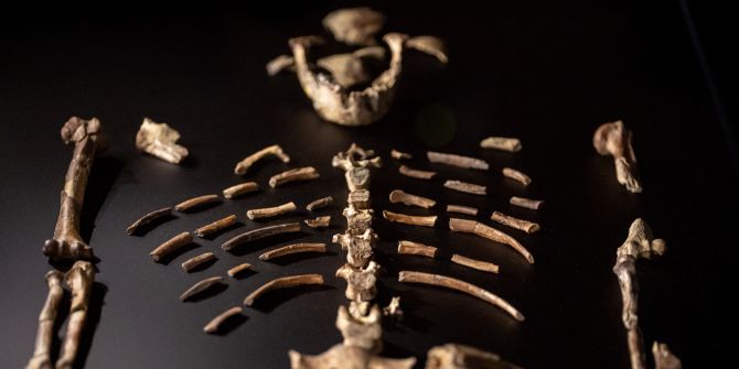 Czech National Museum hosts exhibition of 3.2-million-year-old human fossil