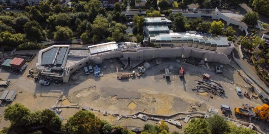 Beim Bau der Pantanal-Voliere im Zoo Zürich kommt es zu Verzögerungen. Der Zoo muss eine neue Stahlbaufirma suchen.
