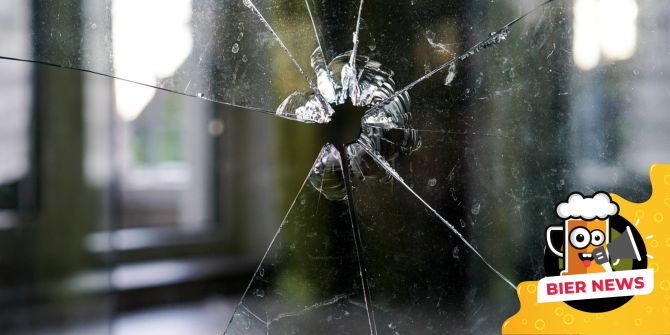 Scheeibe eingeschlagen Falke Mutter