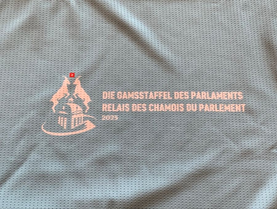 Gamsstaffel T-Shirt Logo