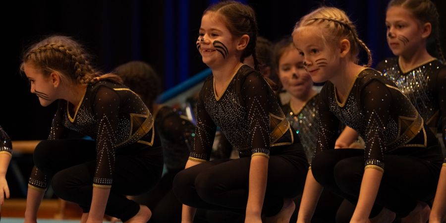 Turnshow STV Eschenbach