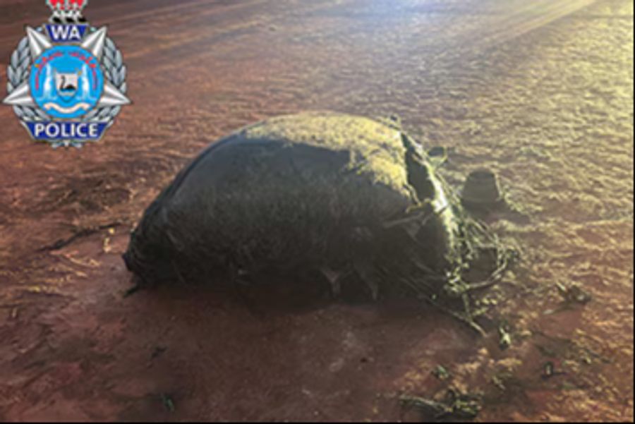 Die ESA warnt vor wachsender Gefahr durch Weltraumschrott und fordert kontrollierte Rückführungen.