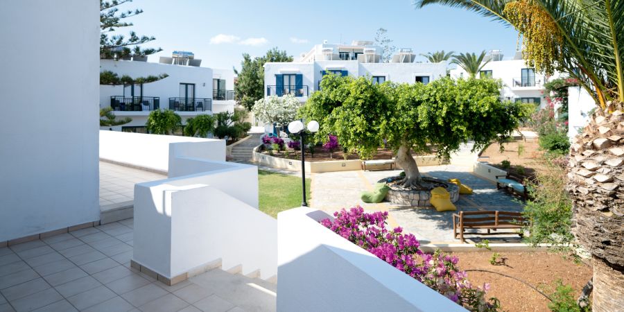 Geniesse deinen Aufenthalt im TUI SUNEO Chrissi Amoudia mit traumhaftem Meerblick und einem wunderschönen, grünen Garten.