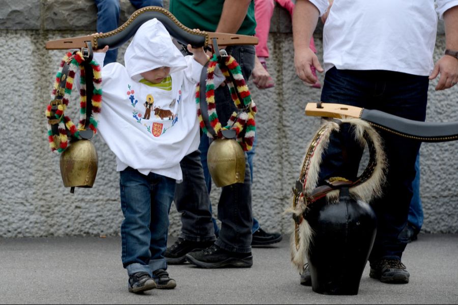 Eidgenössisches Scheller- und Trychlertreffen