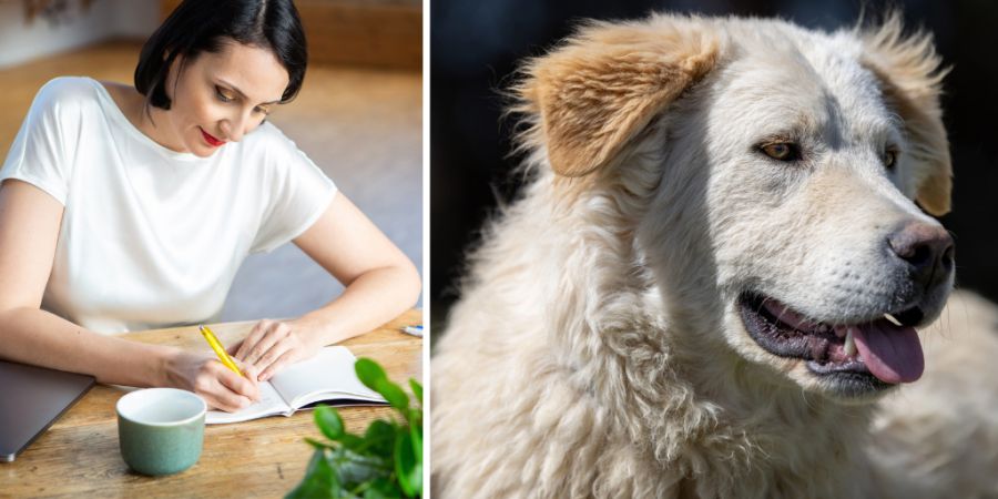 Mirjam Walser vegan Hund