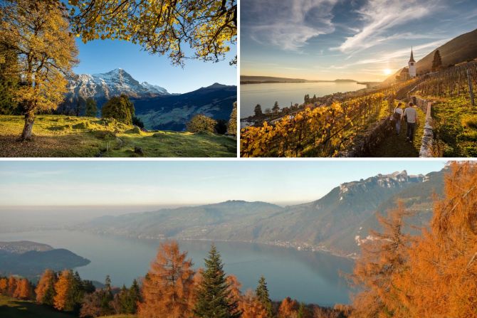 Indian Summer Bern