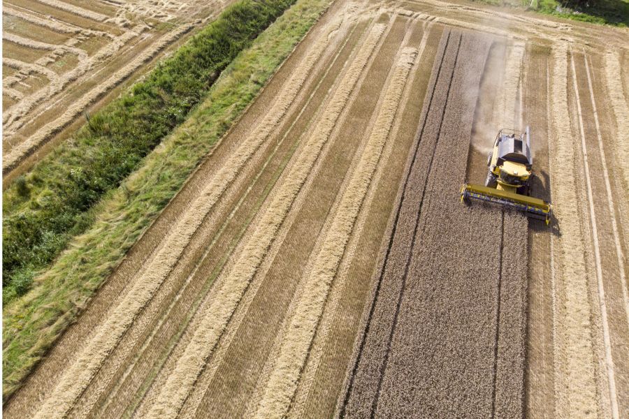 «Wir können unsere Nahrungsmittelversorgung nicht ohne Maschinen sicherstellen», sagt Thomas Knutti.