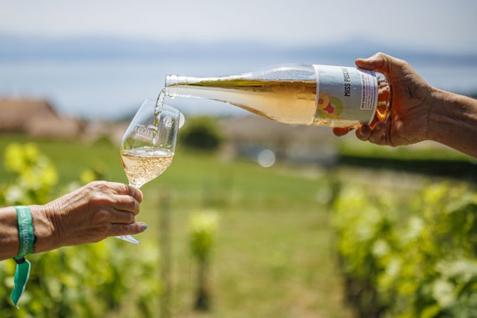 Weinanbau