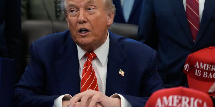 US-Präsident Donald Trump spricht im Oval Office des Weißen Hauses. Foto: Alex Brandon/AP/dpa