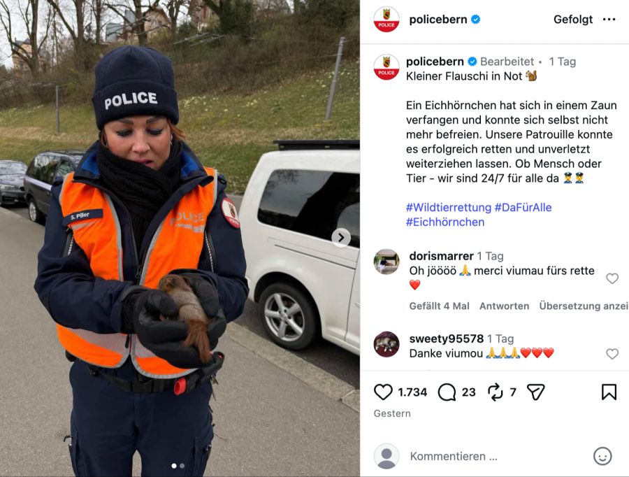 kapo bern eichhörnchen