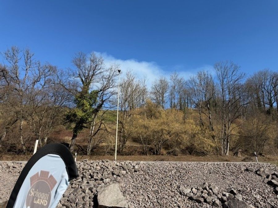 Der Vorfall habe die Kundschaft aber dennoch schockiert, räumt der Inhaber ein. «Es hat den Verkauf schon ein bisschen gehindert.»