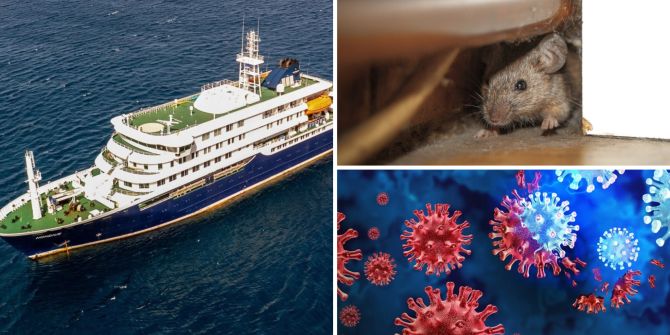 Hantavirus