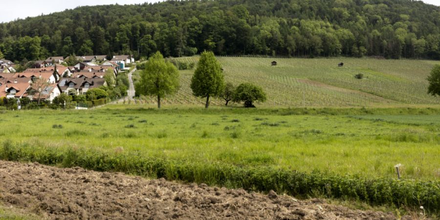 Wie viel Bauland darf in einer Gemeinde eingezont sein? Die Grundlage dafür sind Prognosen über das Bevölkerungswachstum. (Archivbild)