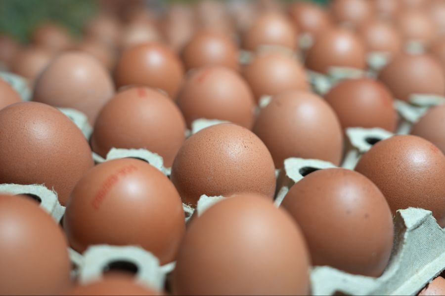 Veganer essen weder Fleisch noch Eier. KI-Veganer vertreten eine ähnliche Gruppe des Verzichts – allerdings auf technologischer Ebene.