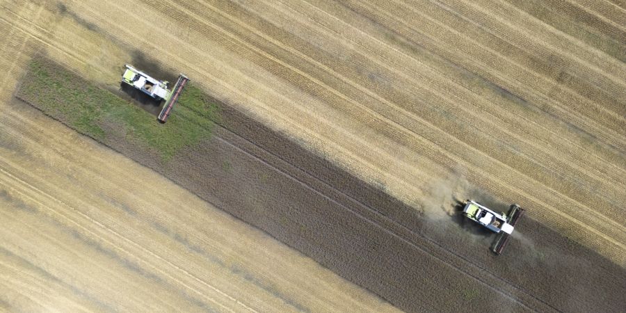 Getreidefeld Ukraine