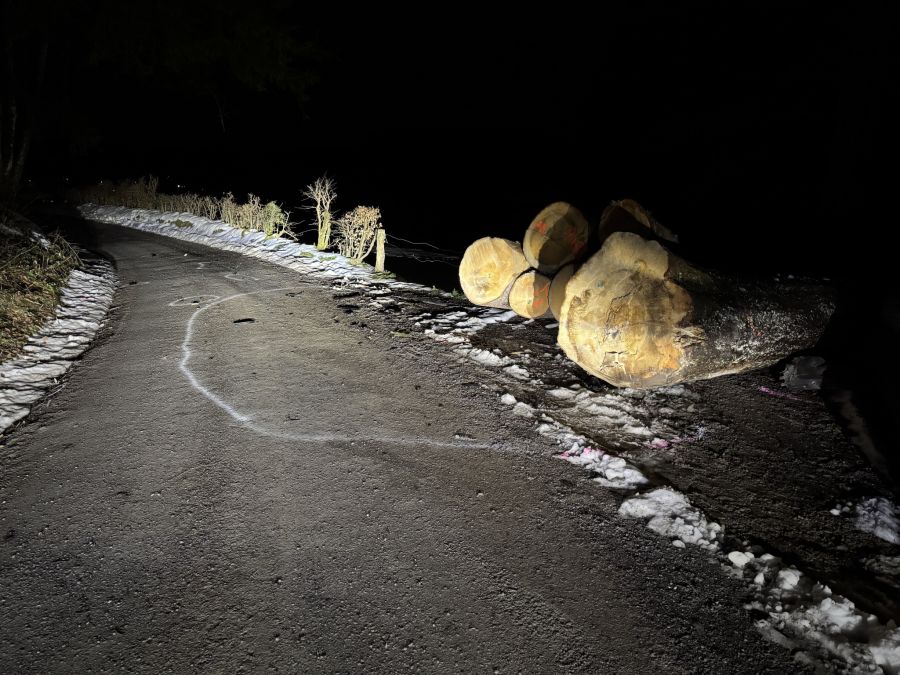 Mit Baumstämmen kollidiert