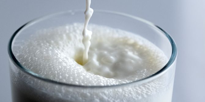 Milch Milchpreis Milchschwemme Milchimport