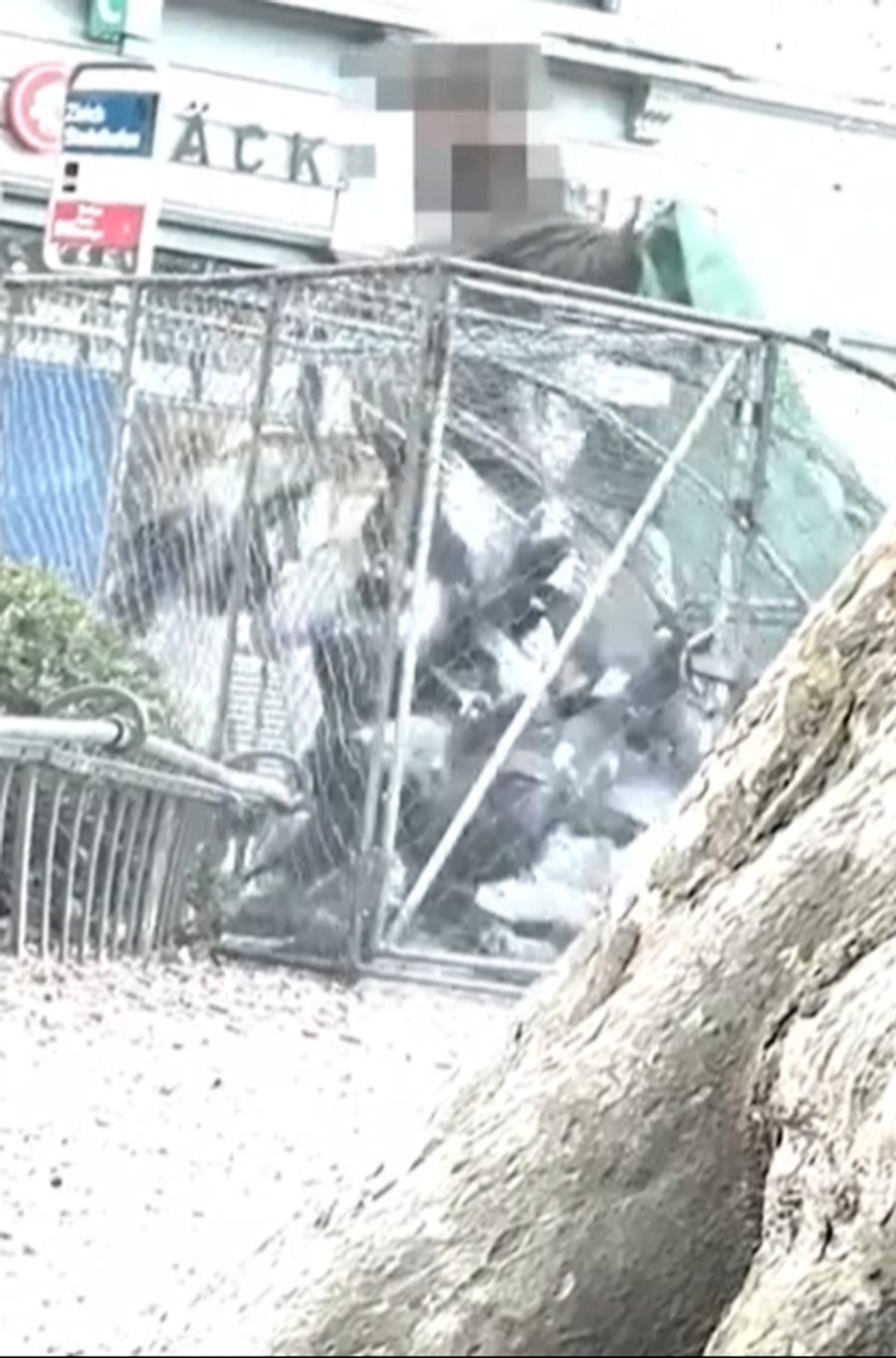 Die Stadt Zürich keulte kürzlich am Bahnhof Stadelhofen mehrere Tauben.