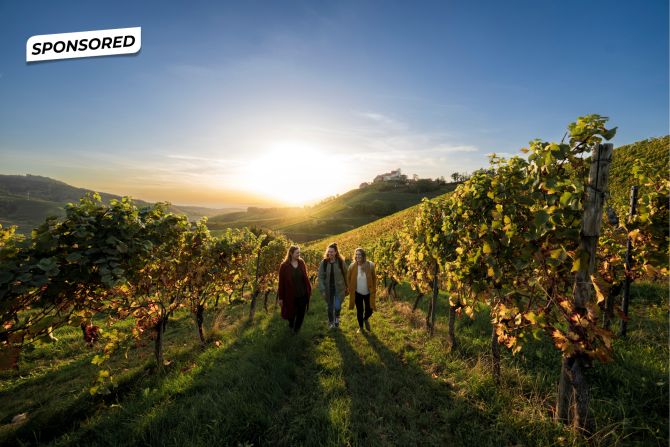 Schwarzwald Tourismus GmbH