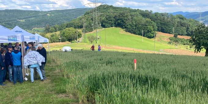 70-Meter-Salzschicht im Untergrund: Der Pfosten im Feld markiert die Bohrstelle. onlinereports basel