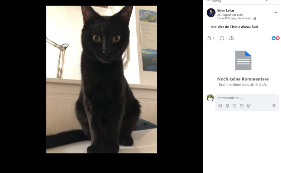Katze Chanel entlief einer französischen Familie auf dem Weg in die Ferien auf einer Autobahnraststätte.