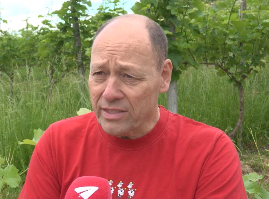 «Wir kämpfen dafür, dass wir die Reben weiter unterhalten und Trauben erzeugen können», sagt Kampagnenleiter Philibert Frick.