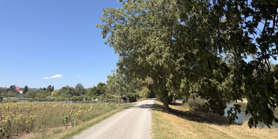 Neue Freiheit für die Limmat