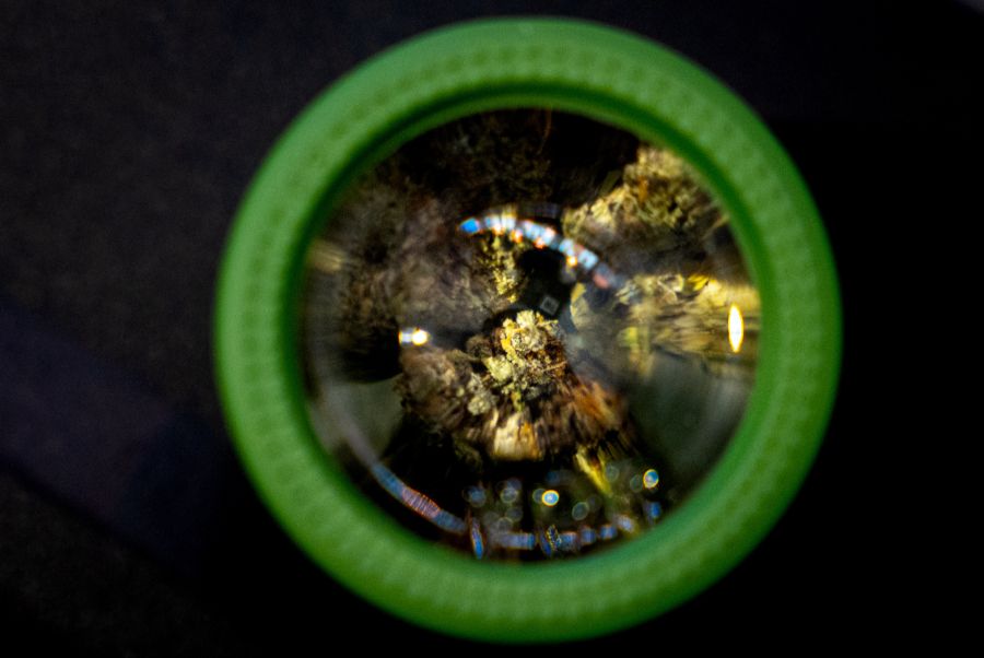 Der Konsum von Cannabis erhöht offenbar den Testosteronspiegel von jungen Männern.