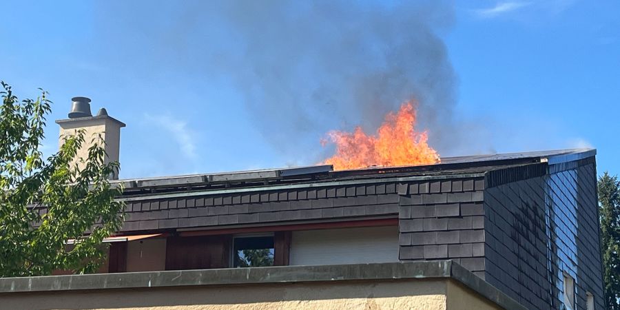 Brand Reinach BL